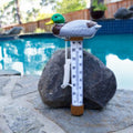 POOLMASTER MALLARD THERMOMETER