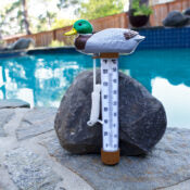 POOLMASTER MALLARD THERMOMETER