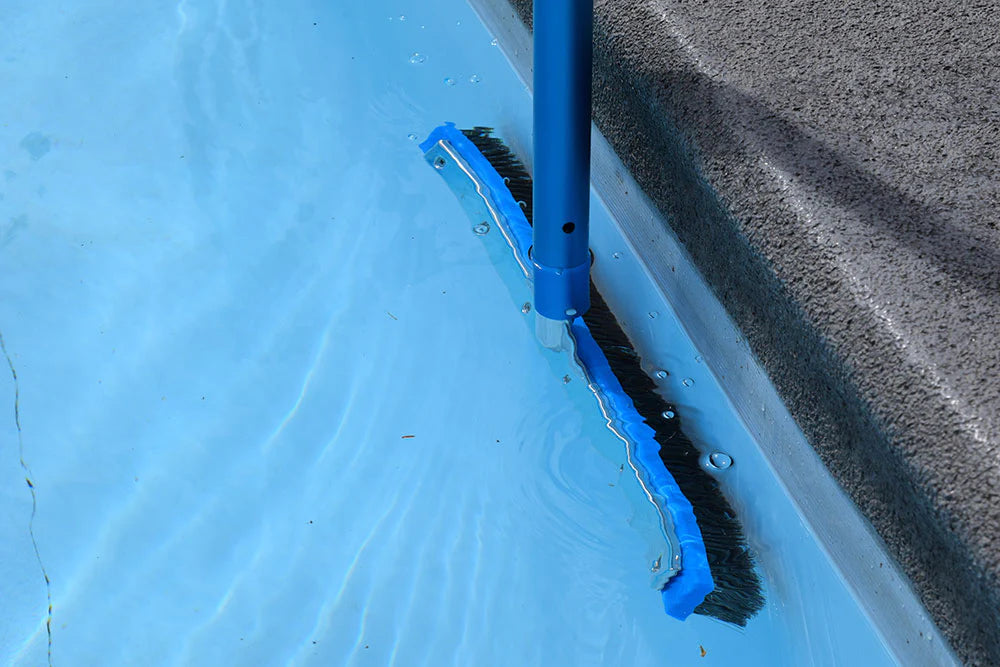 PENTAIR STAINLESS STEEL BRISTLE ALGAE BRUSH 18"