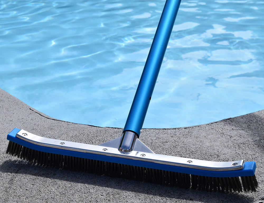 PENTAIR STAINLESS STEEL BRISTLE ALGAE BRUSH 18"