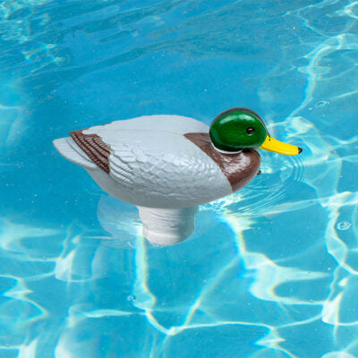 POOLMASTER MALLARD DUCK CHLORINE 3" DISPENSER