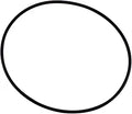 PENTAIR TRITON SAND FILTER O-RING