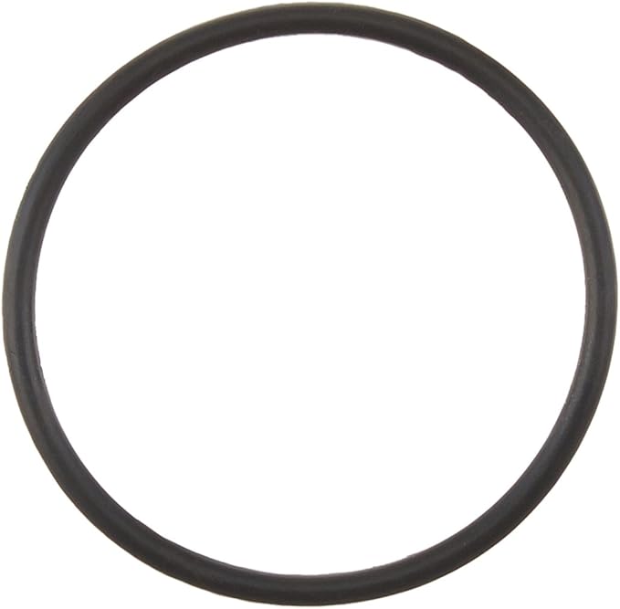 POLARIS FEED PIPE ORING
