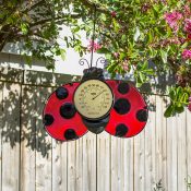 POOLMASTER LADYBUG THERMOMETER