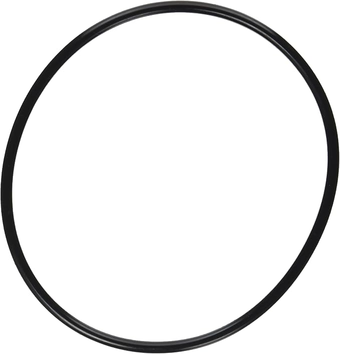 PENTAIR SUPERFLO PUMP LID O-RING
