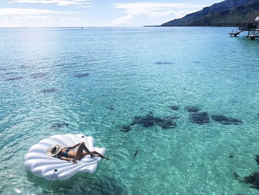 SWIMLINE SEASHELL LOUNGE