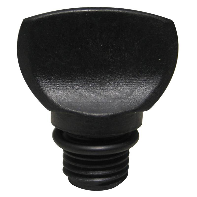 CMP PUMP PLUG .25"