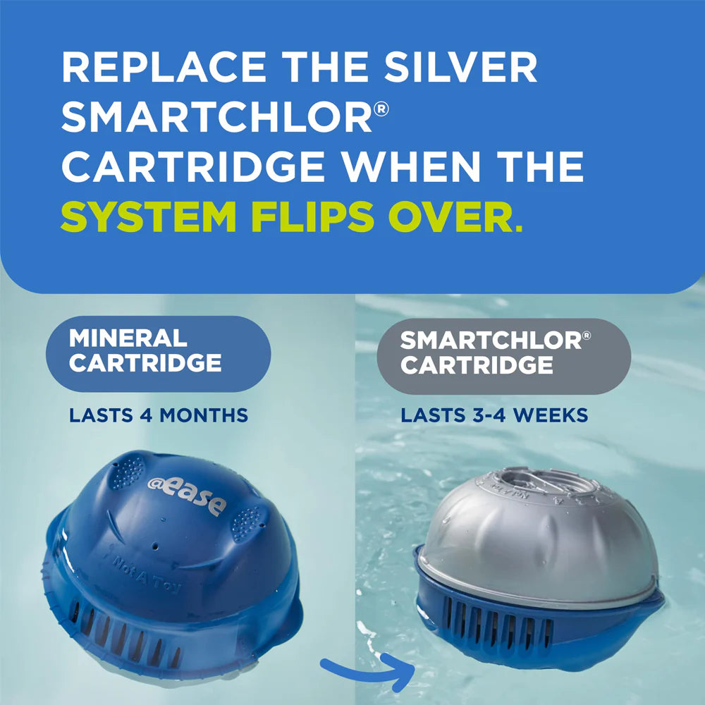FROG@EASE FLOATING SANITIZING SYSTEM