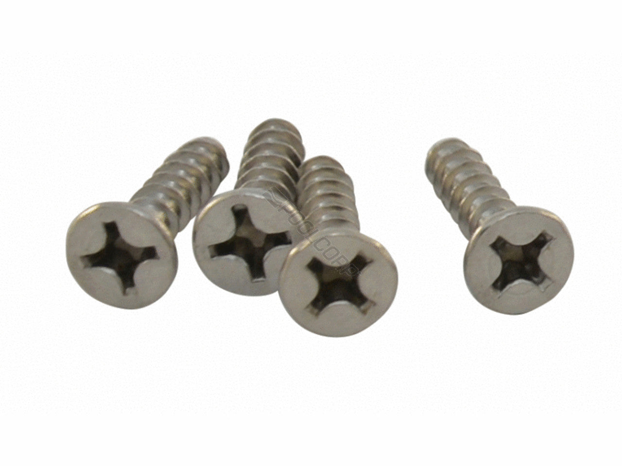 HAYWARD FACEPLATE SCREW (4PC)