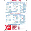 POOLMASTER SAVE A LIFE & EMERGENCY DIAL 911  SIGN