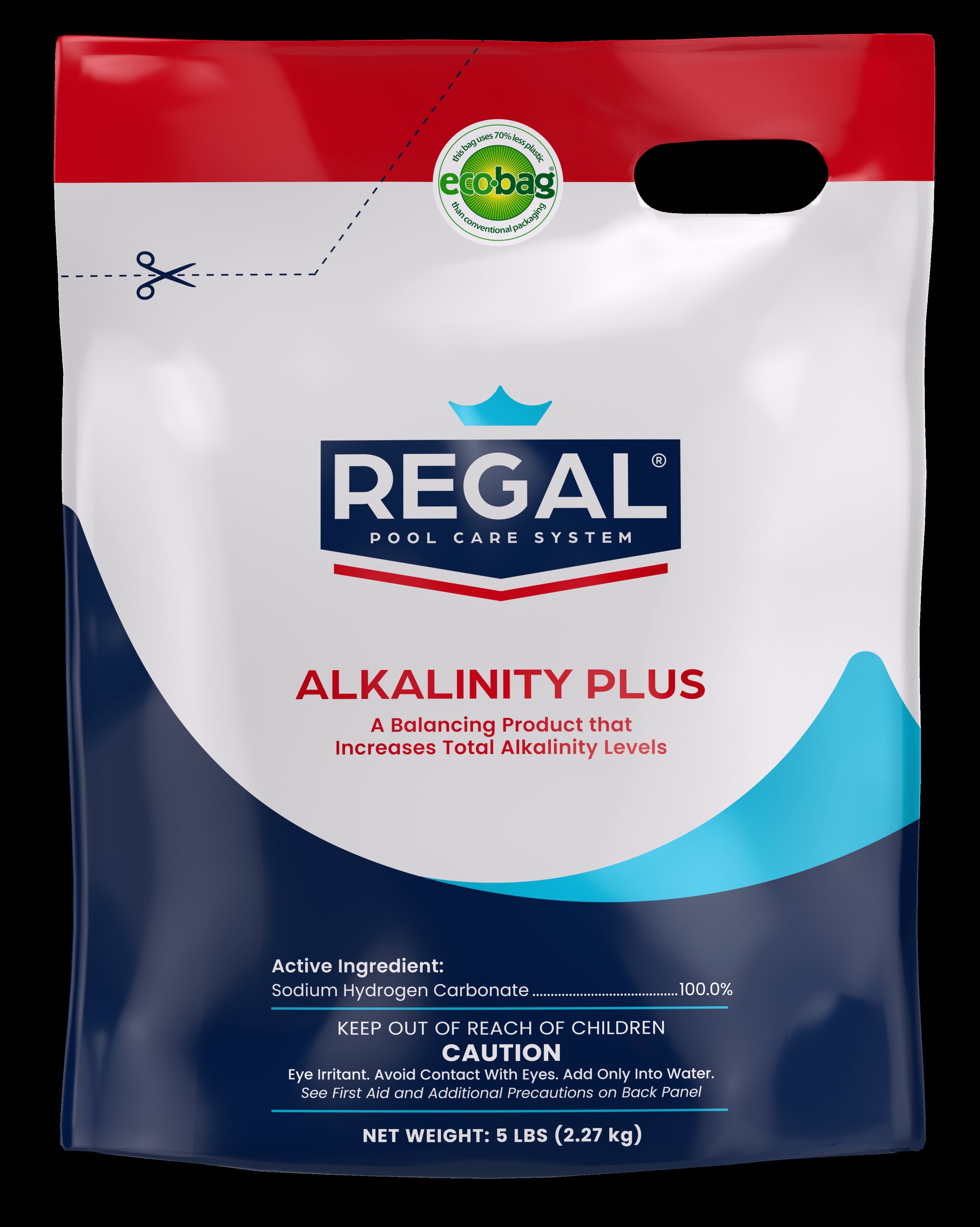 5 LB ALKALINITY PLUS BAG