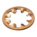 PENTAIR LEGEND AXLE LOCK WASHERS 5 PK