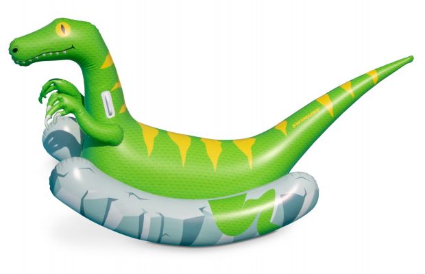 SWIMLINE ROCKING RAPTOR