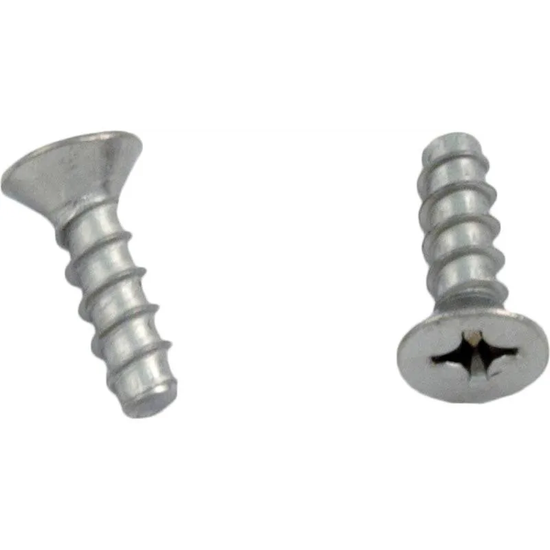 HAYWARD GRATE SECURING SCREW 2PK